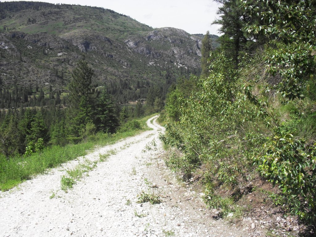 Picture 56
