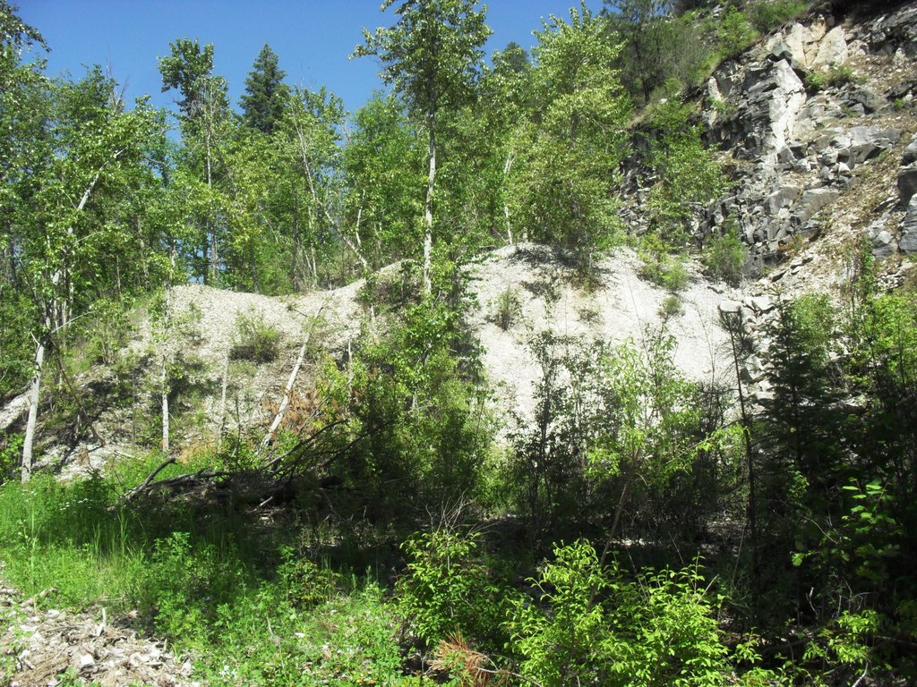 Picture 31