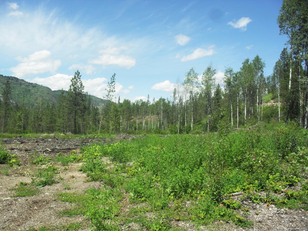 Picture 29