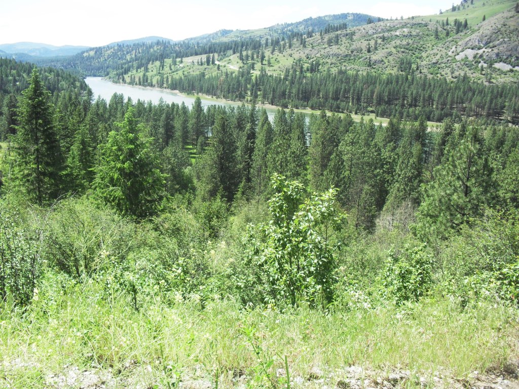 Picture 20