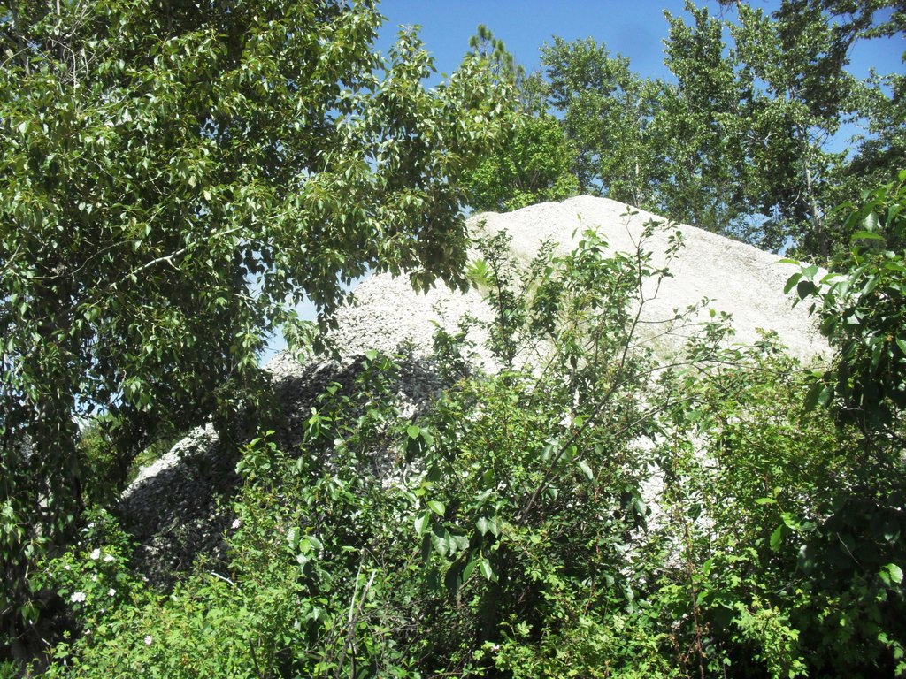 Picture 42