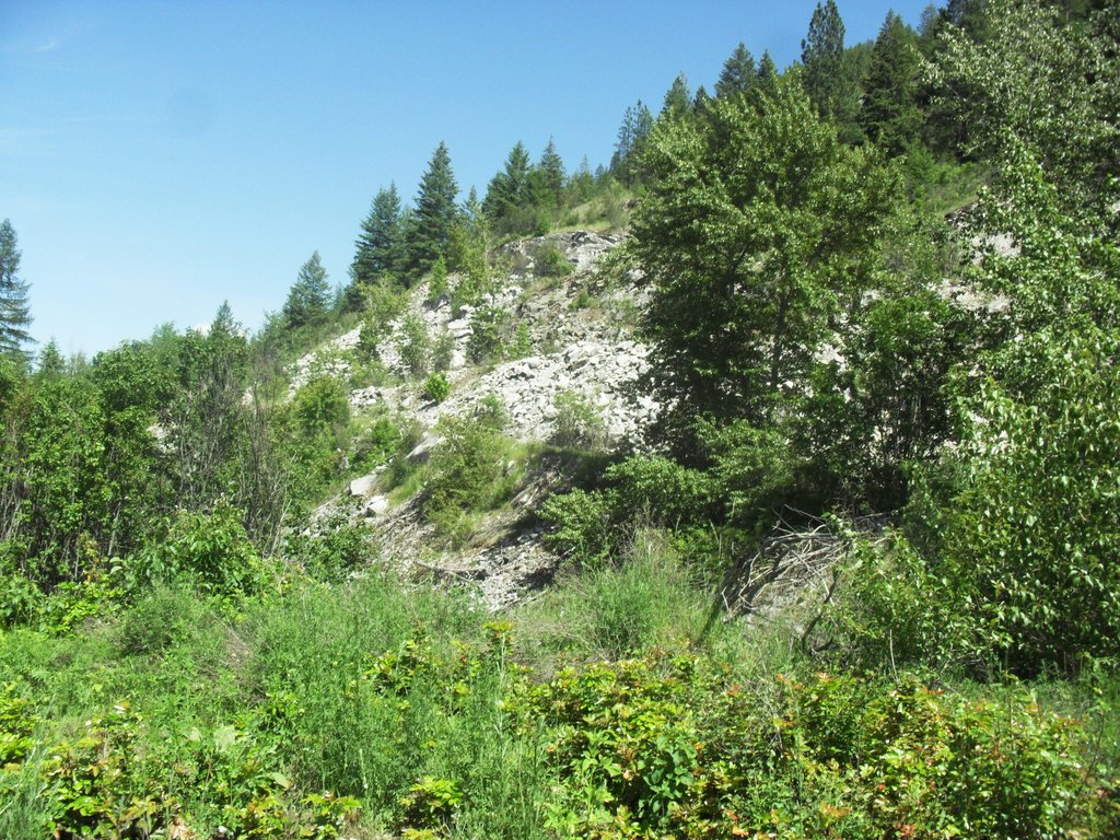 Picture 36