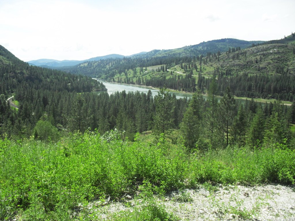 Picture 41