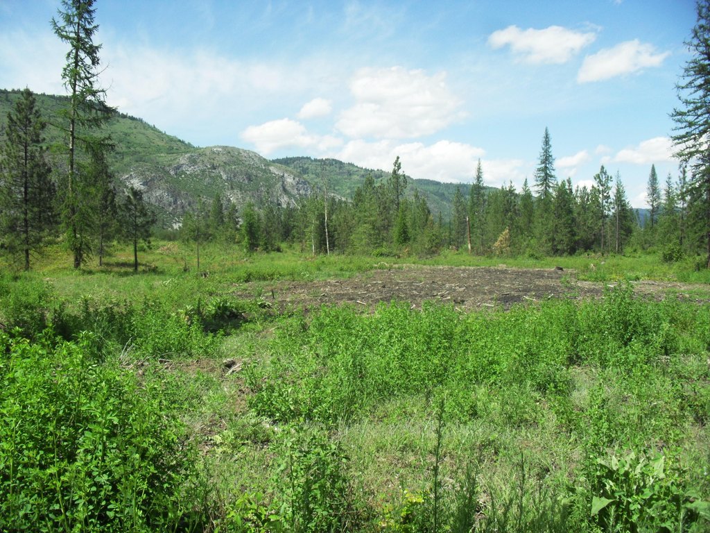 Picture 26