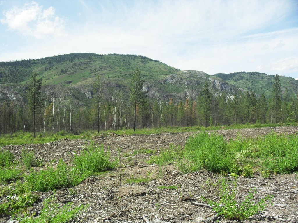 Picture 48