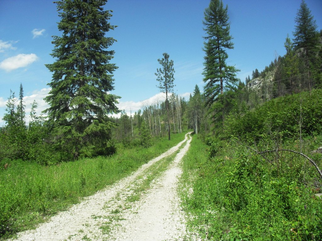 Picture 28