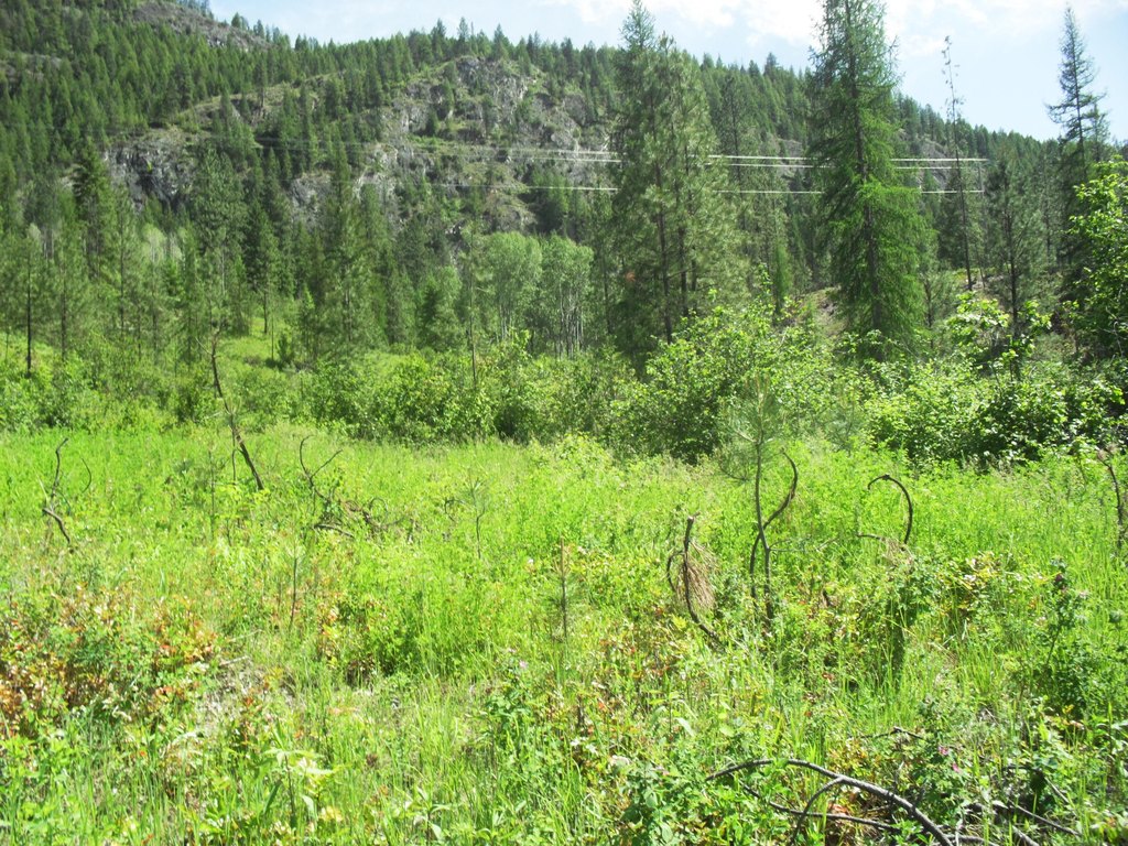 Picture 50