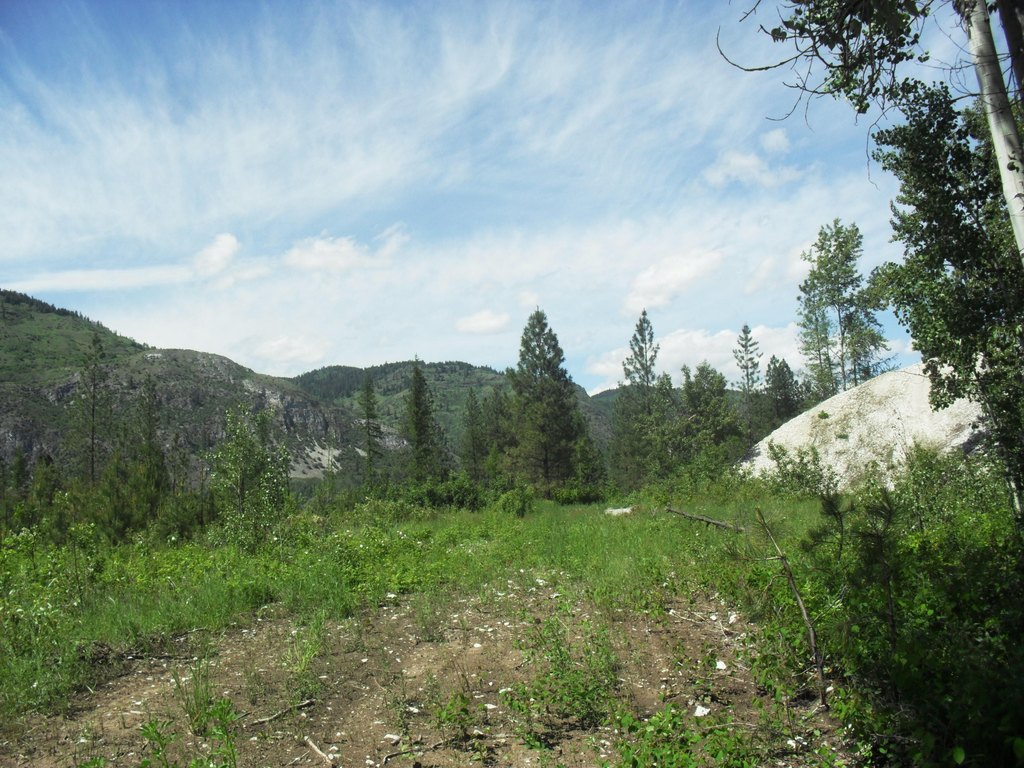 Picture 38