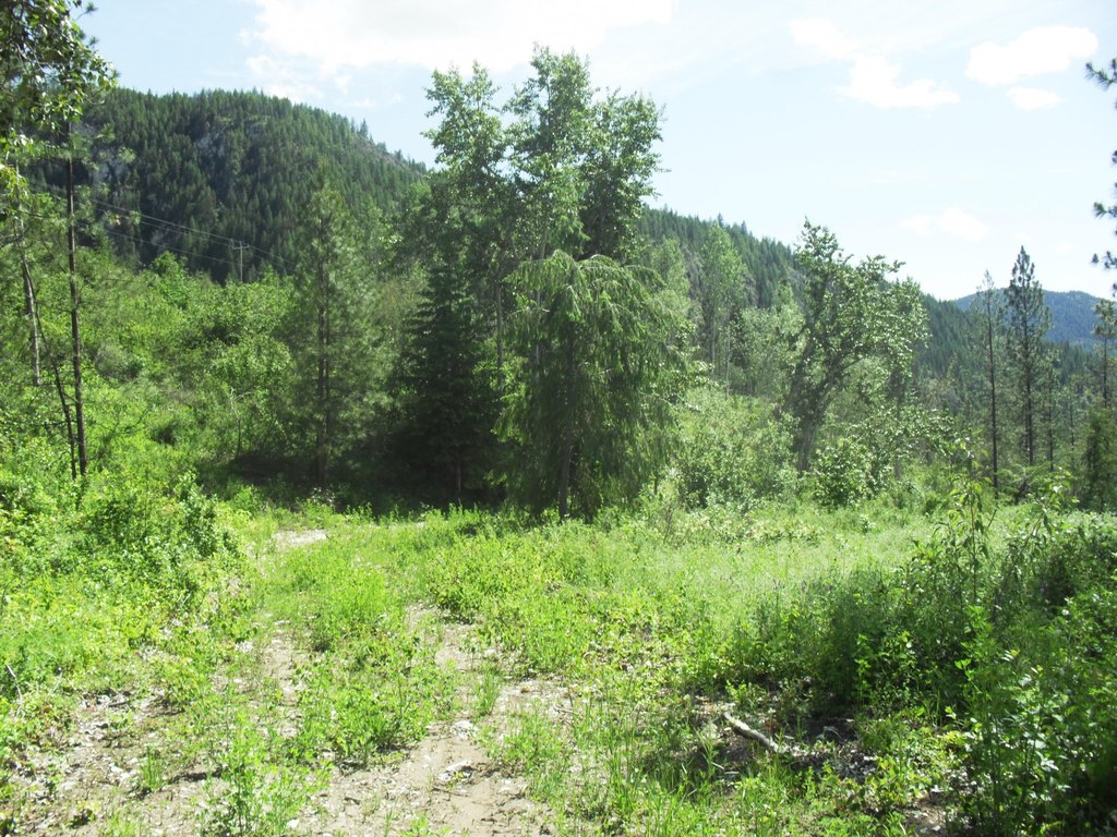Picture 39