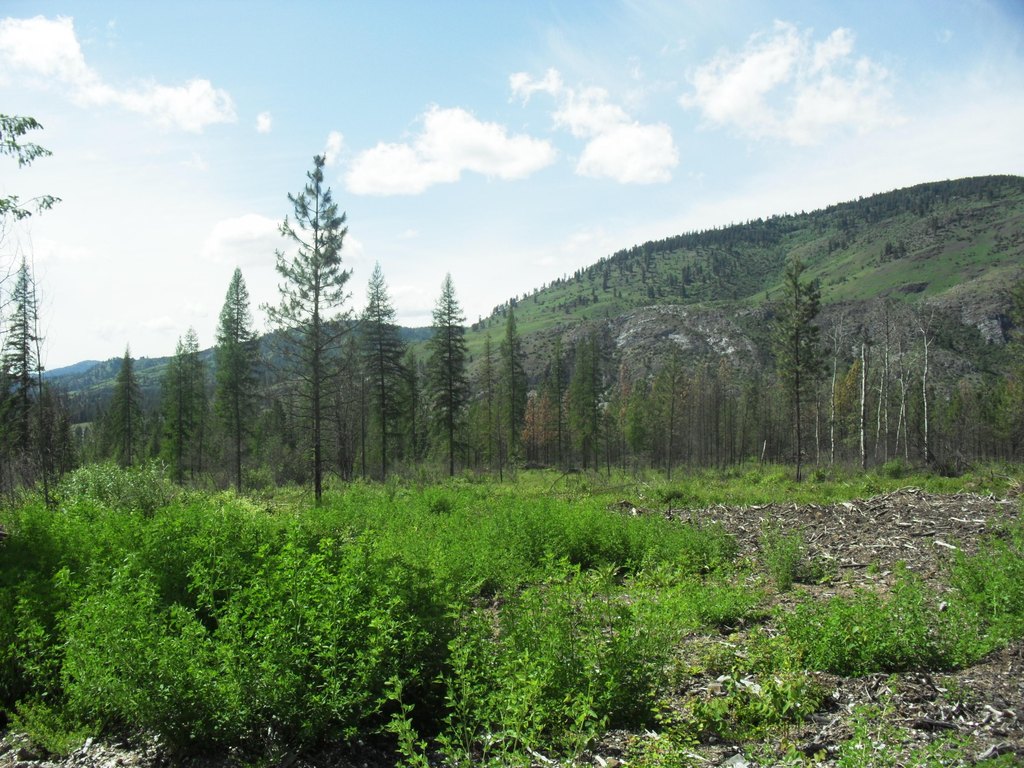 Picture 49