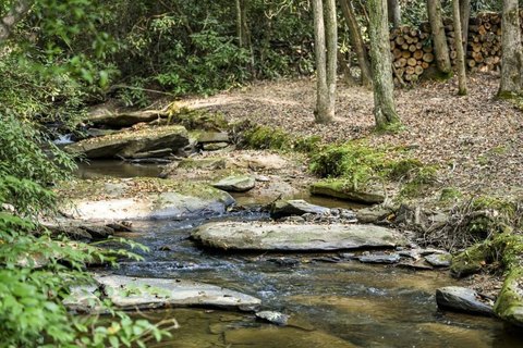 Creek-Front Land in Mineral Bluff