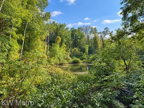 Vacant Land, Marathon Twp, MI