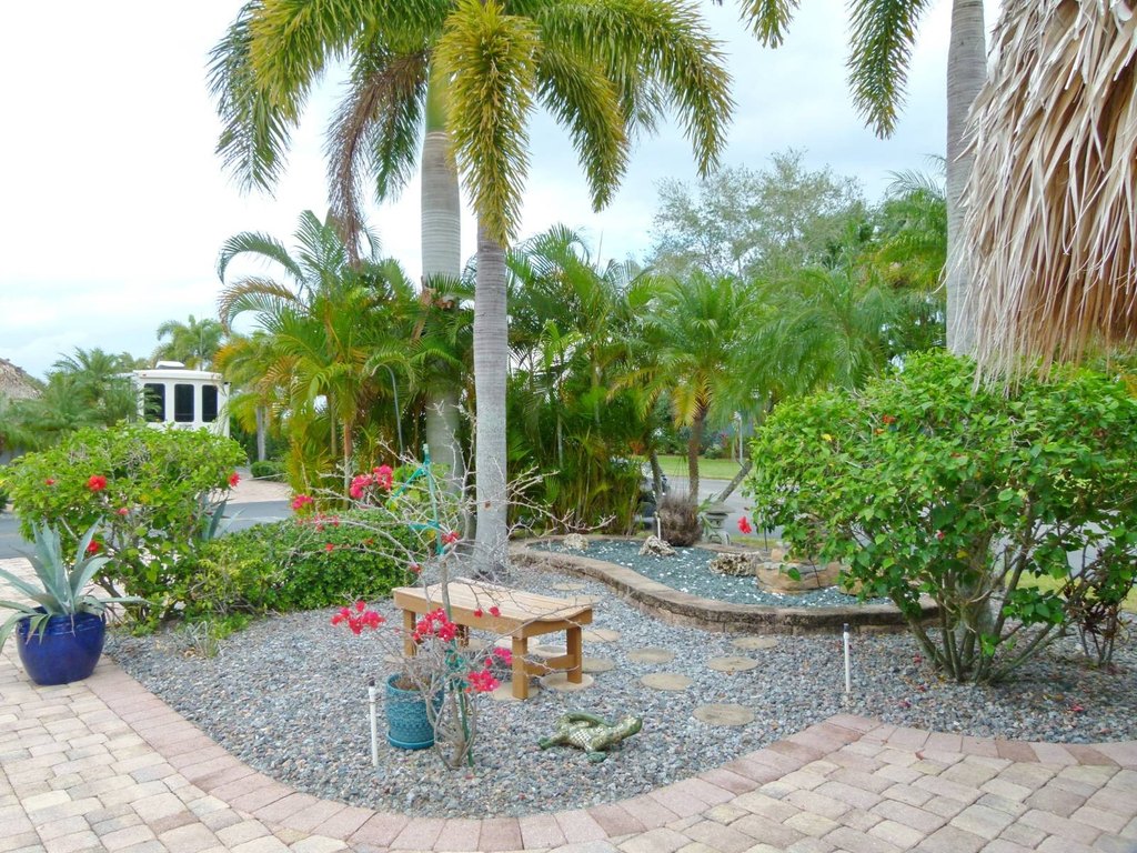 Picture 6