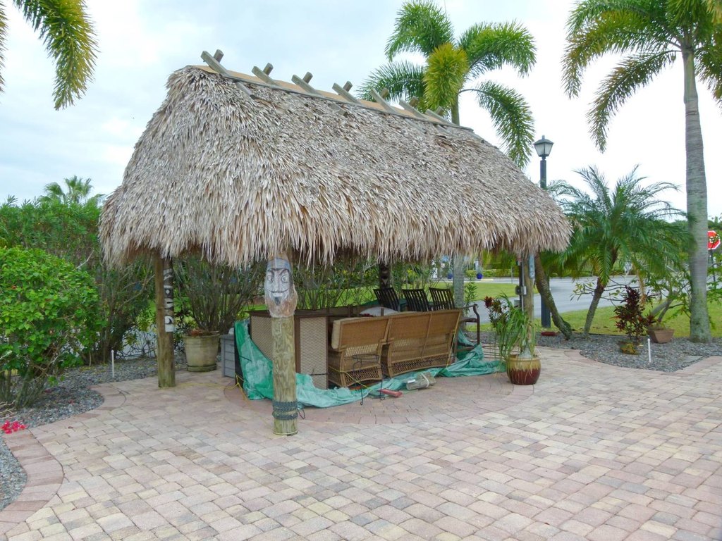 Picture 3