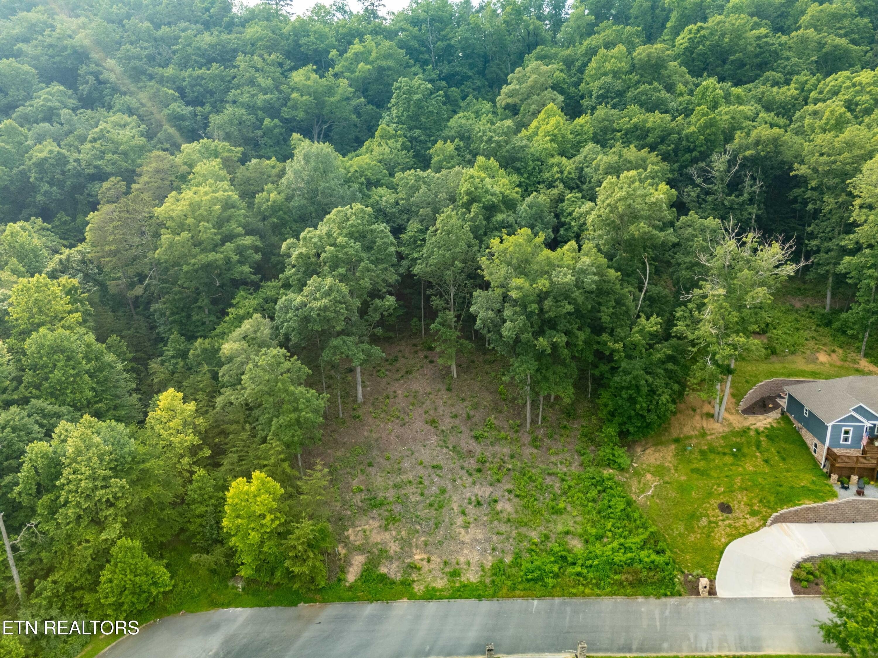 Land in Scenic Seymour, TN