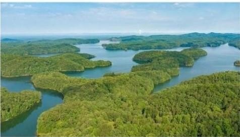 Land, Ellijay, GA