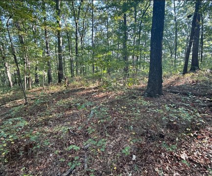 Land, Waco, GA