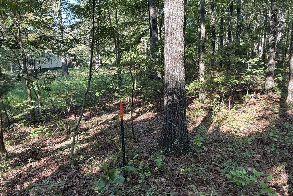 Picture 4