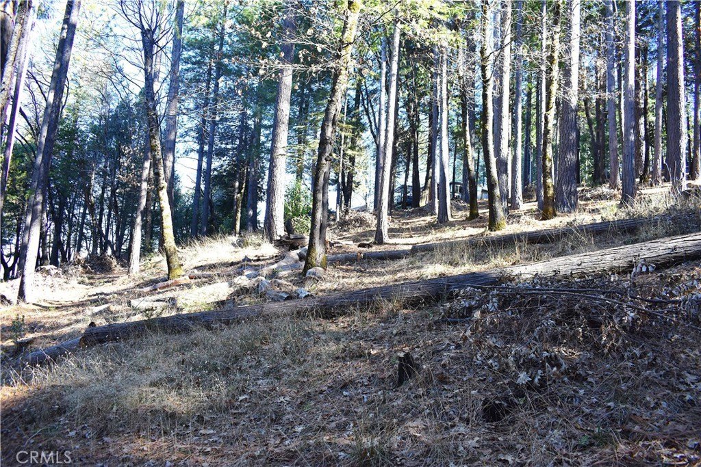 Picture 18