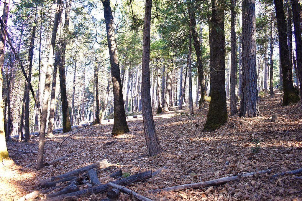 Picture 12