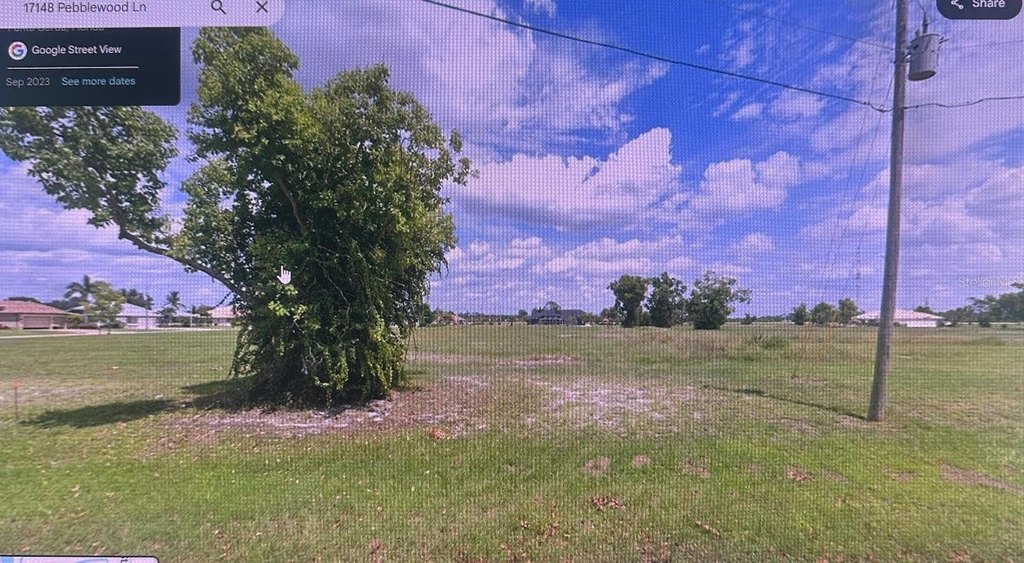 Picture 2