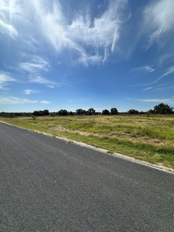 Picture 20