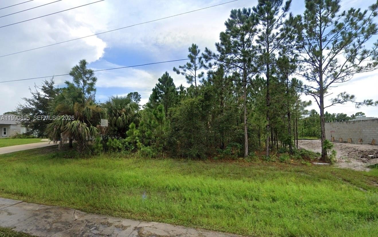 Residential Land in Palm Bay