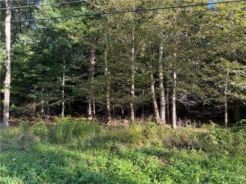 Land, Franklin Twp, PA