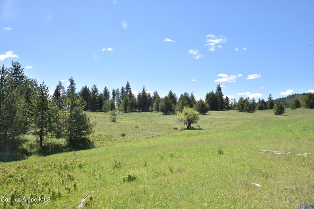 Picture 24