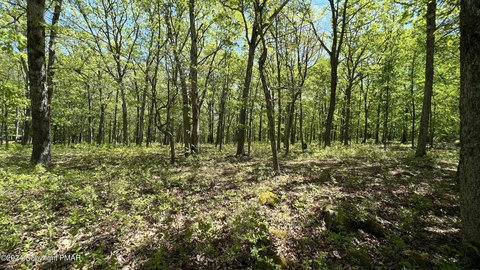 Bushkill Land with Stream Frontage