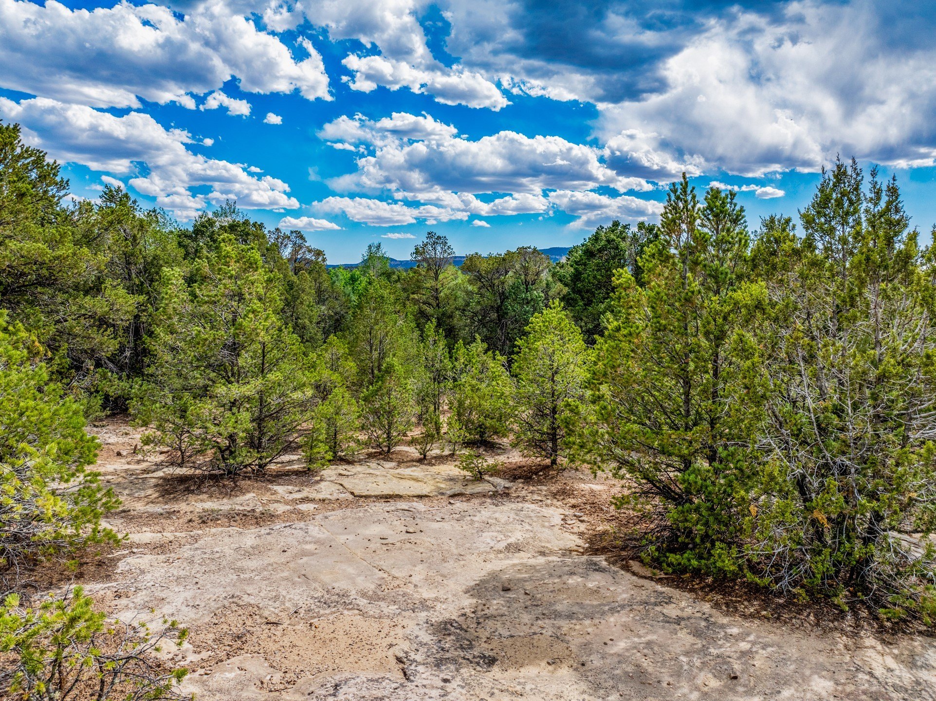 Land with Mountain Views in Pecos