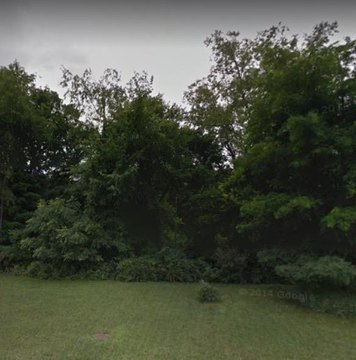 Wooded Lot in Manchester Woods