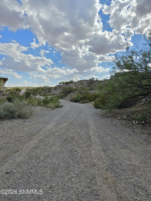 Picture 19