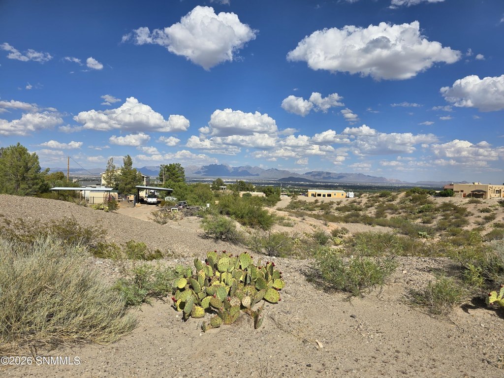 Picture 17