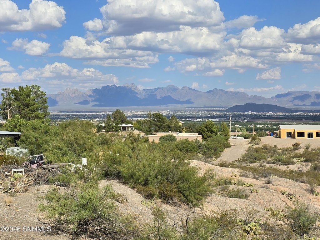 Picture 9