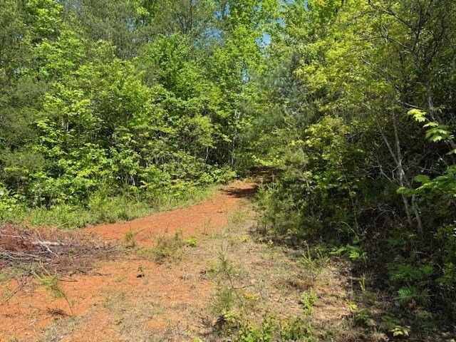 Picture 2