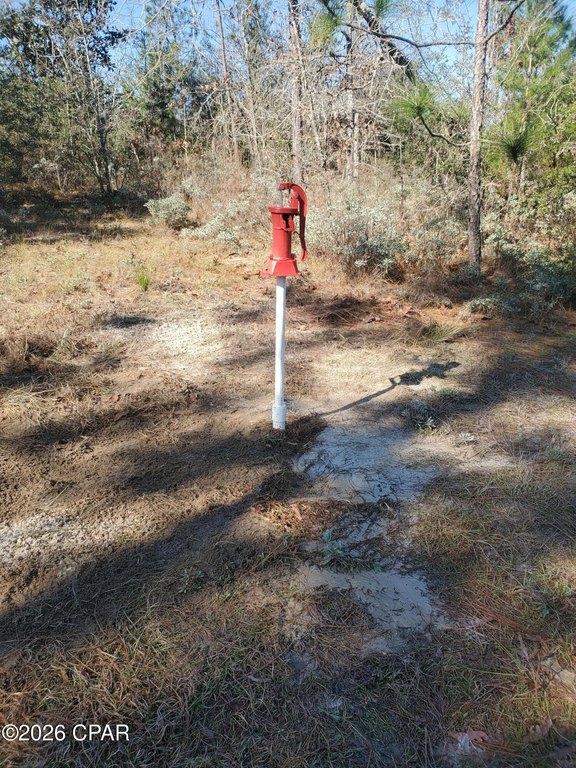 Picture 18