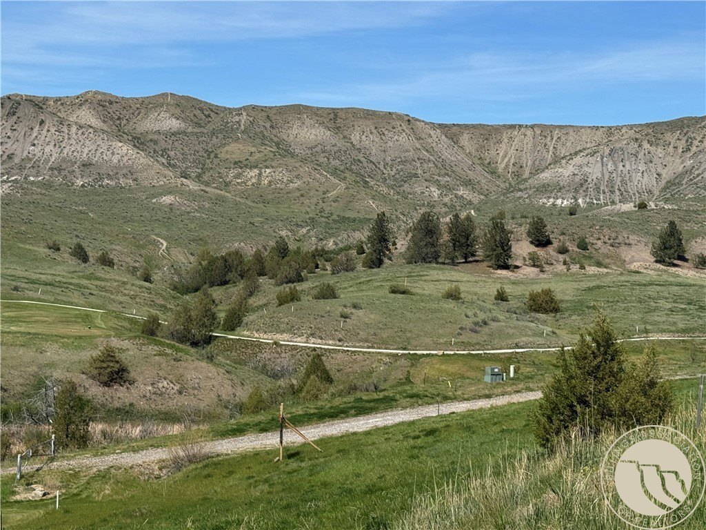 Picture 10
