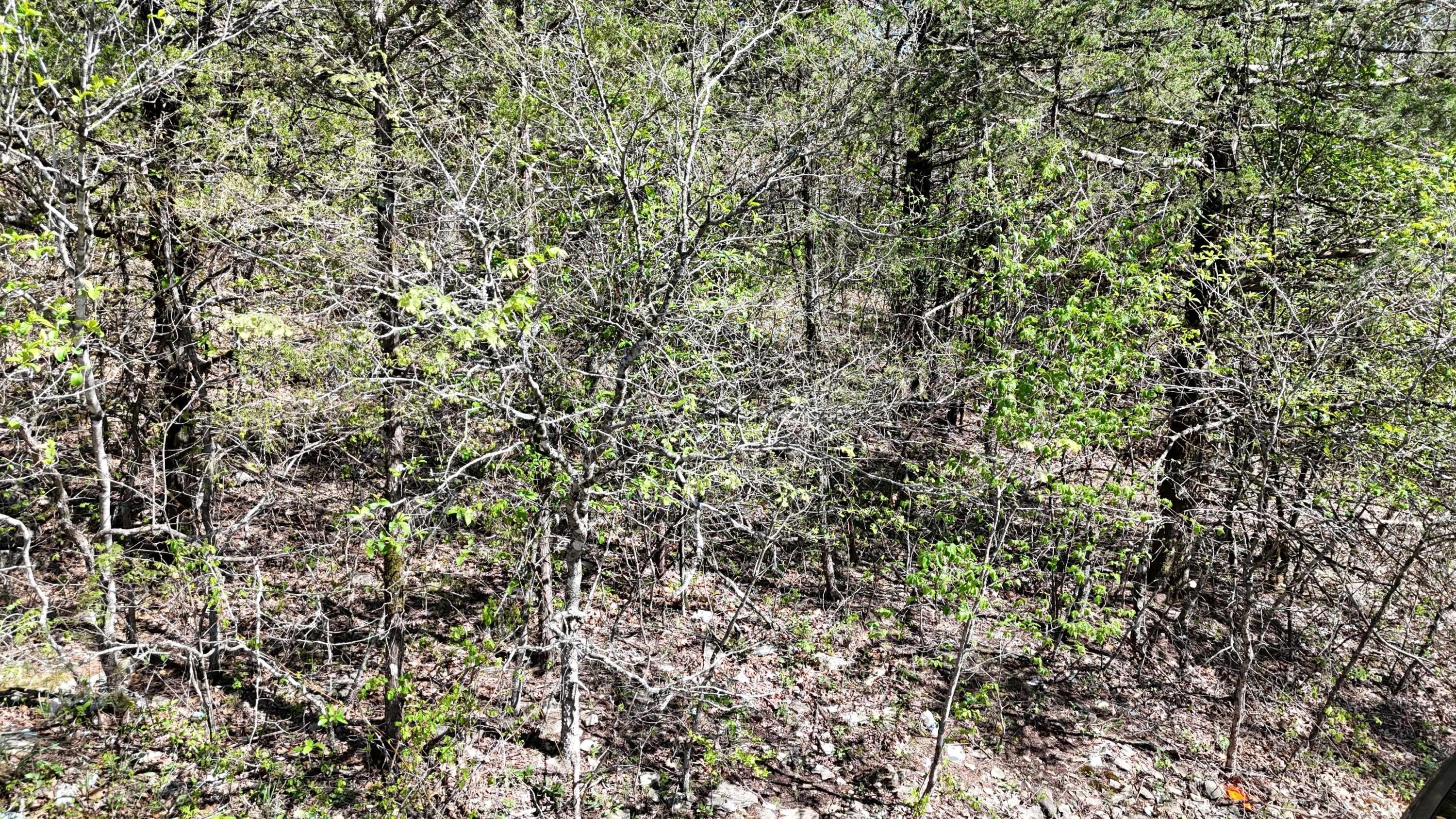 Shell Knob Land For Sale