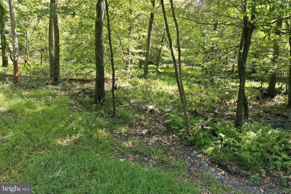 Picture 7