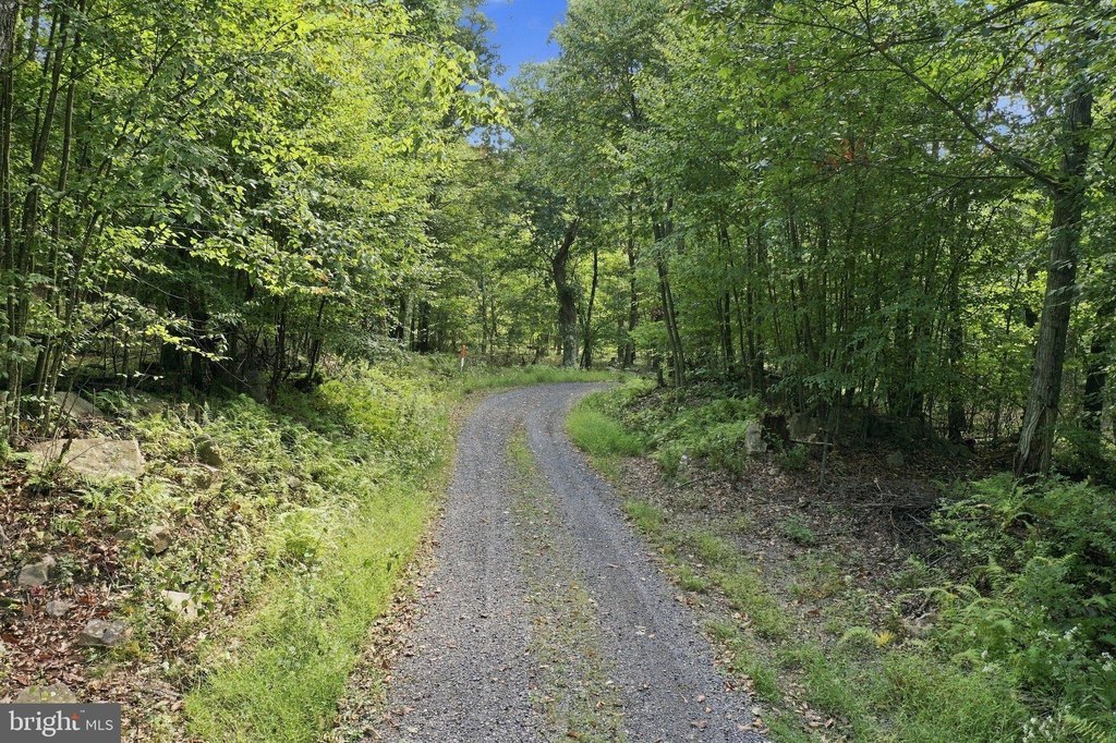Picture 8