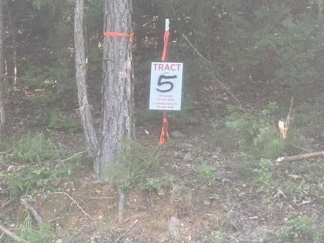 Picture 2