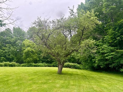 LAND - Dover-Foxcroft, ME