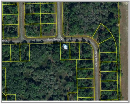 Residential Lot in Banyan Village