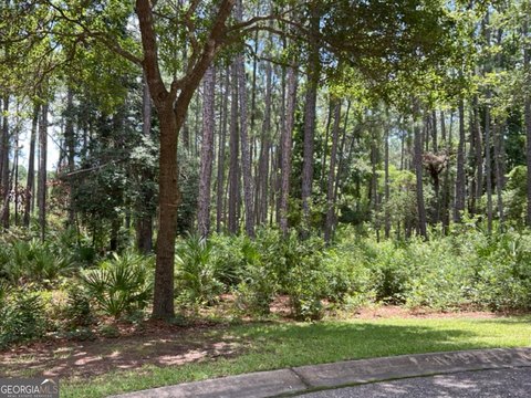 LAND - St. Marys, GA
