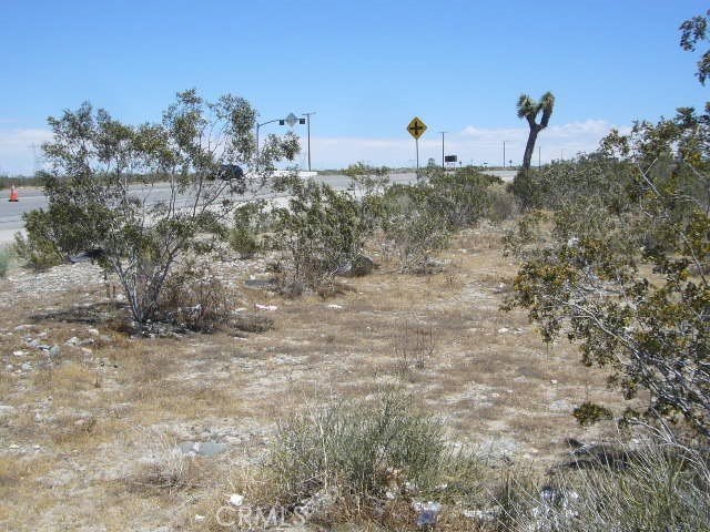Picture 4