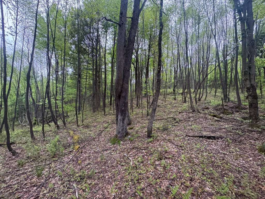 Picture 56