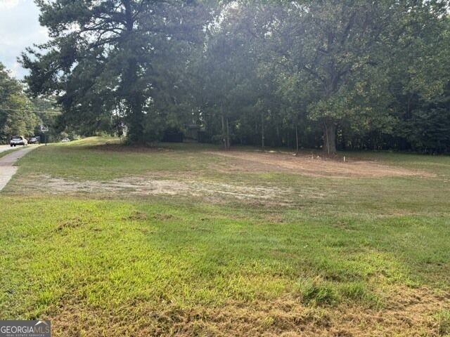 Picture 3