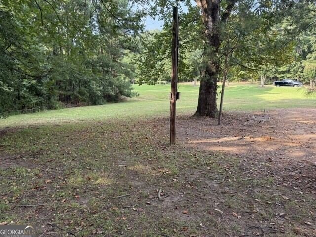 Picture 16