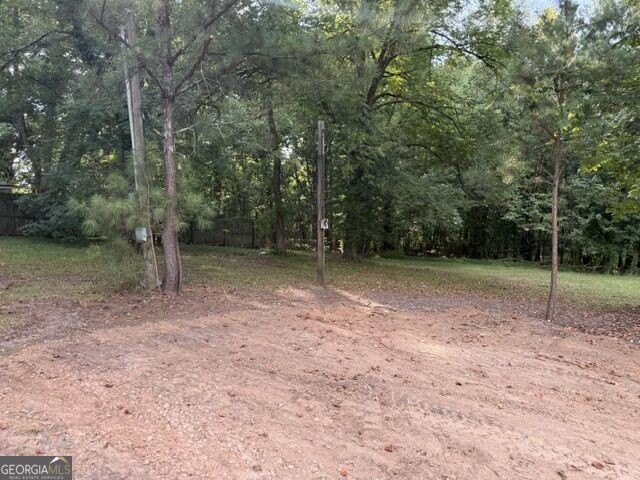 Picture 13